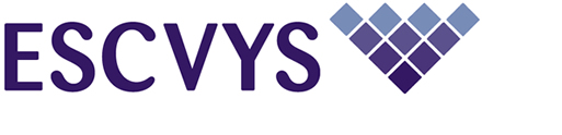 ESCVYS' main logo