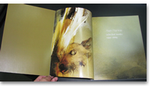 Exhibition catalogue for Alan Rankle, show in Milano 2010