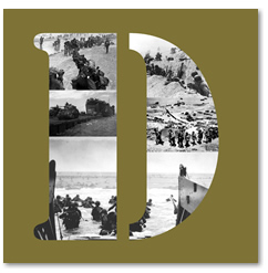 Self-initiated project,  illix design, letter D