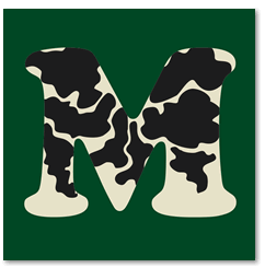 Self-initiated project,  illix design, letter M