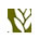 Redesign of Trinity Wholefoods logo by illix design, Hastings, East Sussex, UK