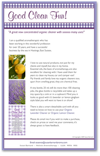 Website design for Good Clean Fun!, Hastings Uk